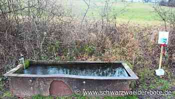Weihnachten in Engstlatt - Lesen, Singen und Basteln in der Natur - Schwarzwälder Bote
