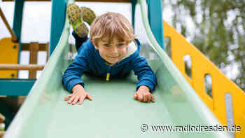 Waldspielplatz am Albertpark wieder offen - Radio Dresden