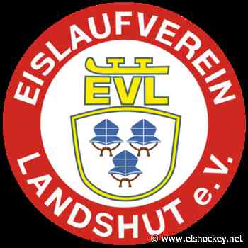 Knappe Niederlage in Dresden - Eishockey.net