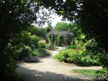 Gardening: What does full sun mean for the Prairie gardener?