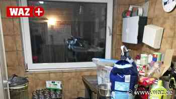 Einbruch im Tierheim Witten: Weihnachts-Spenden gestohlen - Westdeutsche Allgemeine Zeitung