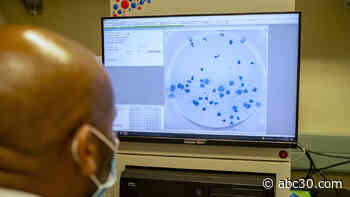 New COVID cases in South Africa, once at forefront of omicron wave, rapidly decline