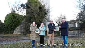Große Pläne für Wahrzeichen: Erst das Buch und dann ein wenig Wiederaufbau