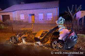 Jaguar in Opgrimbie wellicht in brand gestoken