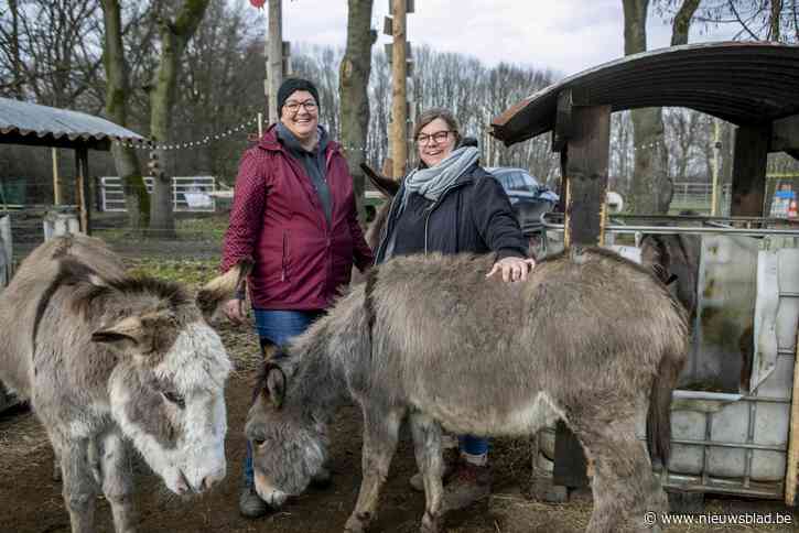 Balkenende Donkieshuis richt open brief aan minister: “Zonder extra steun gaan er asielen sneuvelen”