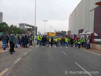 Murcia truck drivers and transport workers take to the picket lines in strike action - Murcia Today