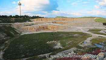 Demonstration in Dotternhausen - Lichter-Demo auf dem Plettenberg - Schwarzwälder Bote