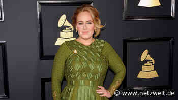 Adele klingt wie eine Toilettenspülung: Google-Handys outen sich als Musik-Banausen - NETZWELT