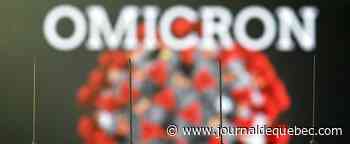 Plus contagieux, moins sévère: le portrait d'Omicron se dessine peu à peu