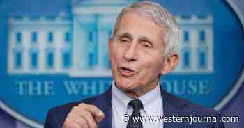 Fauci Calls for Holiday Party Shutdown Three Days Before Christmas: 'Stay Away'