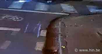 Paard ontsnapt uit weide en overleefd aanrijding met personenwagen niet - Het Laatste Nieuws