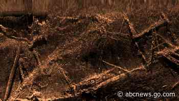 Research: Wreck of last US slave ship mostly intact on coast