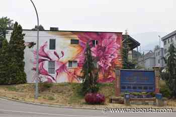 Nelson mural festival puts out call for artists, walls - Nelson Star