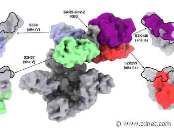 COVID-19 study finds 'broader' antibody response maintains immunity to Omicron variant