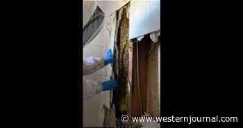Woman Points Thermal Detector at Wall, Instantly Knows What's There When It Registers 96 Degrees