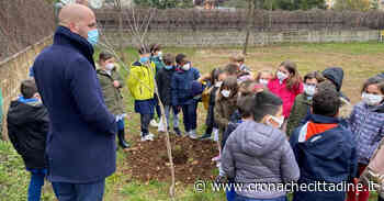 Colleferro. La Festa dell'Albero 2021, con il Vicesindaco Giulio Calamita, tra gli alunni delle scuole elementari e medie della città - Cronache Cittadine