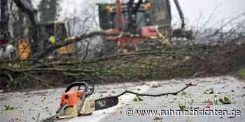 Video: Darum war die L608 in Stadtlohn den ganzen Sonntag gesperrt - Ruhr Nachrichten