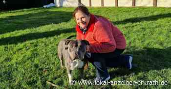 Tierheim Hilden braucht Hilfe: Spenden werden mehr denn je gebraucht - Lokal Anzeiger Erkrath