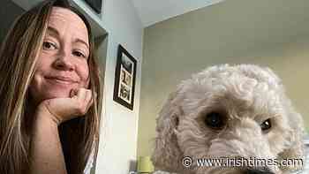 Coronavirus surge maroons up to 150,000 people in self-isolation - The Irish Times
