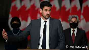COVID-19 might have lasting impacts on the way Canada handles immigration, minister says