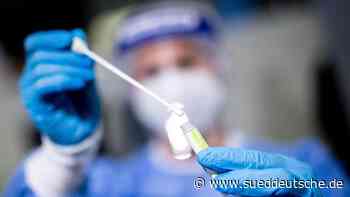 Gesundheit - Kiel - Corona-Inzidenz in Schleswig-Holstein bleibt konstant - Gesundheit - Süddeutsche Zeitung