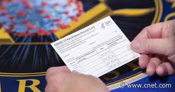New York makes fake COVID vaccination cards a state crime     - CNET