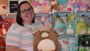 'If you can find them, buy them': Squishmallow toy craze hits Ottawa - CBC.ca