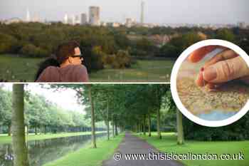 Best Boxing Day walks across London