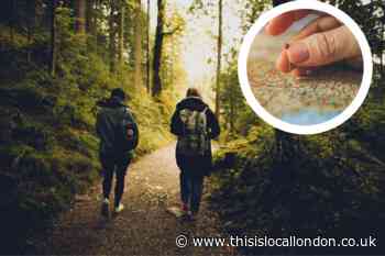 Best Boxing Day walks across Lewisham