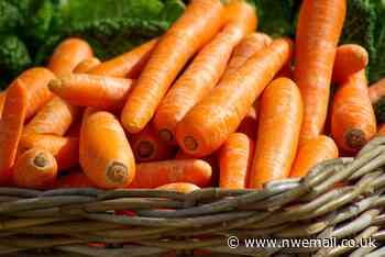 Ulverston Food Waste Project open over Christmas - The Mail