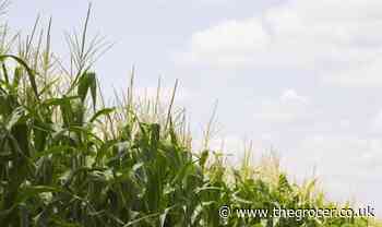 What's the outlook for key food commodities in 2022? - The Grocer