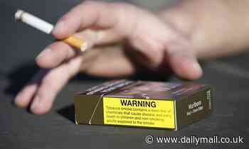 Junk food 'should get cigarette-style health warnings', researchers say - Daily Mail