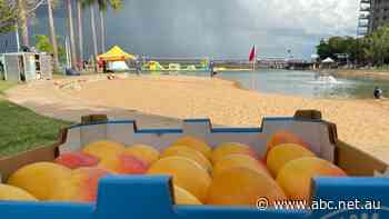 Mango growers squeezed, but one variety brought sweet relief