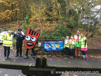 Woodlea wins gold star for its school travel plan - Farnham Herald