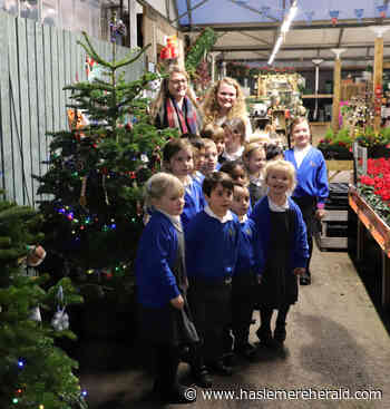 South Farnham School is top of the tree - Haslemere Herald