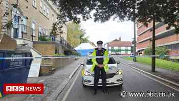 Brentwood murder accused Frankie Watson appears in court