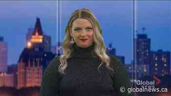 Adopt a Pet with Bella and Saskatoon SPCA - Globalnews.ca