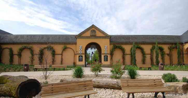 Heidelberg:  Zoo-Geschichten zu Weihnachten