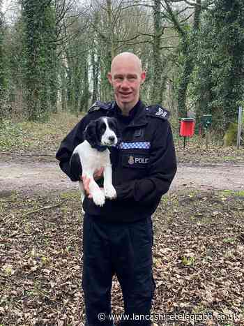 Meet the adorable puppy who is Lancashire Police's newest recruit