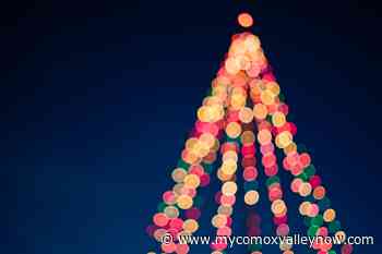 Interactive map pinpoints Christmas displays around the Comox Valley - My Comox Valley Now