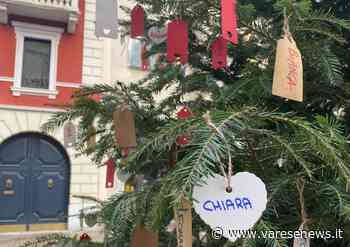 L'albero di Natale dei nuovi nati: Gallarate lo dedica ai 340 bimbi del 2021 - varesenews.it