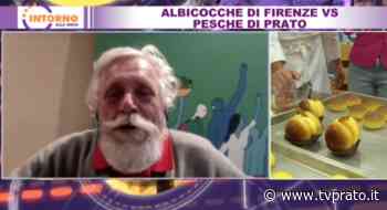 Albicocche di Firenze vs Pesche di Prato - tvprato.it
