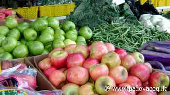 Vigilia di Natale col mercato in Prato della Valle - PadovaOggi