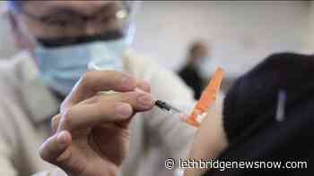 Province expands booster eligibility to all Albertans aged 18 and over - Lethbridge News Now