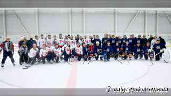 Mayor's Community Hockey Challenge a success for southern Alberta food banks - CTV News Calgary