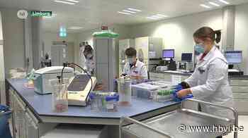 Luc Hendrix: ''Vanaf woensdag eerder nieuwe beperkingen dan versoepelingen'' - Het Belang van Limburg