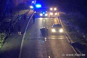 Everzwijnen aangereden op Alden Biesensingel in Bilzen (Bilzen) | Het Belang van Limburg Mobile - hbvl.be