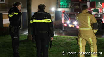 Bewoner vergeet hond van balkon te halen - Voorburgs Dagblad