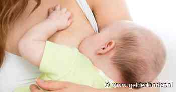 Moeder moet 'binnen 5 minuten' luiers uit gft-bak halen en stapt daarom naar rechter: 'Zat net m'n baby te voeden' - De Gelderlander