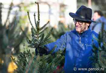 Op te halen in het Olympisch Stadion: 1300 kerstbomen - Parool.nl